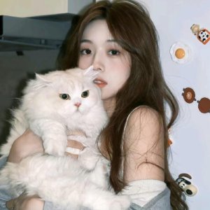 Kitty