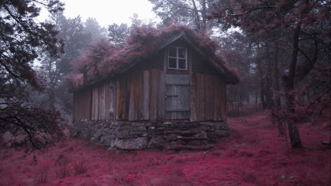 Aerochrome 04
