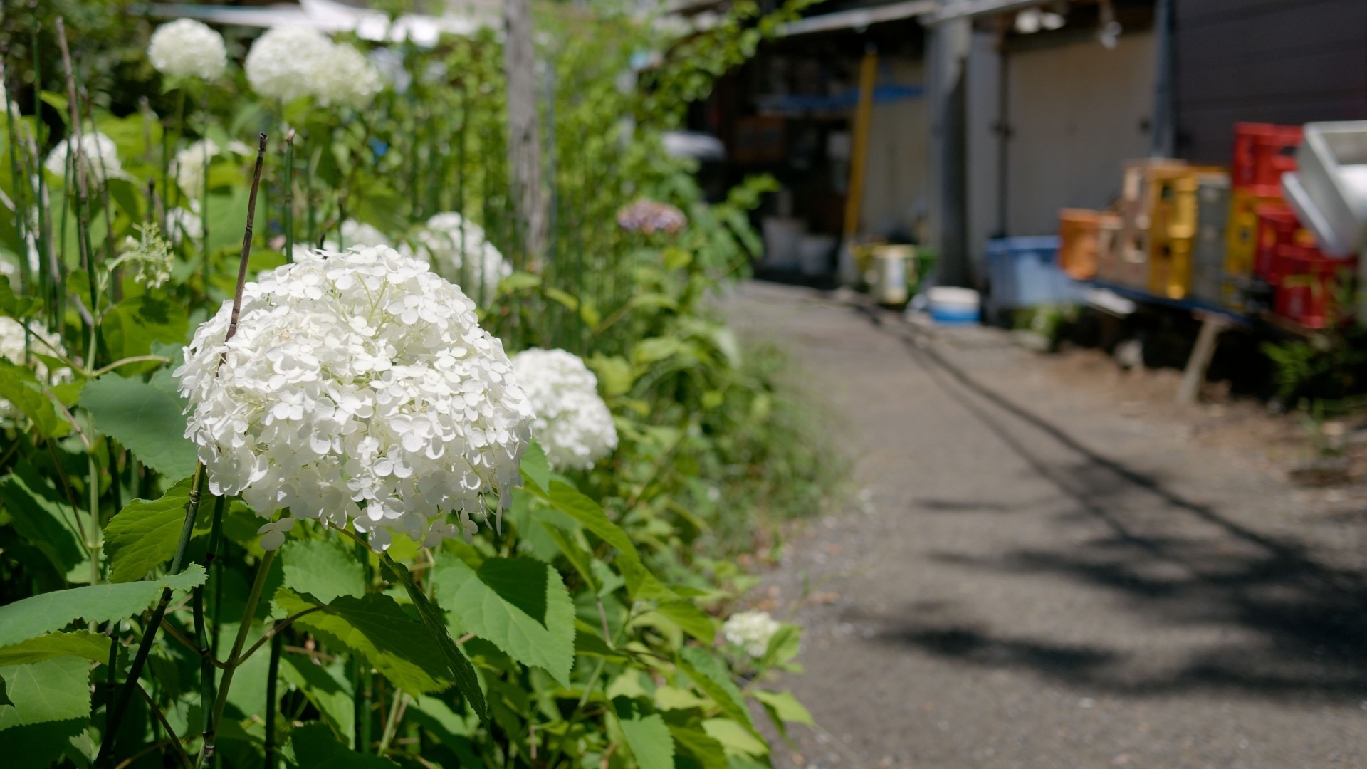before