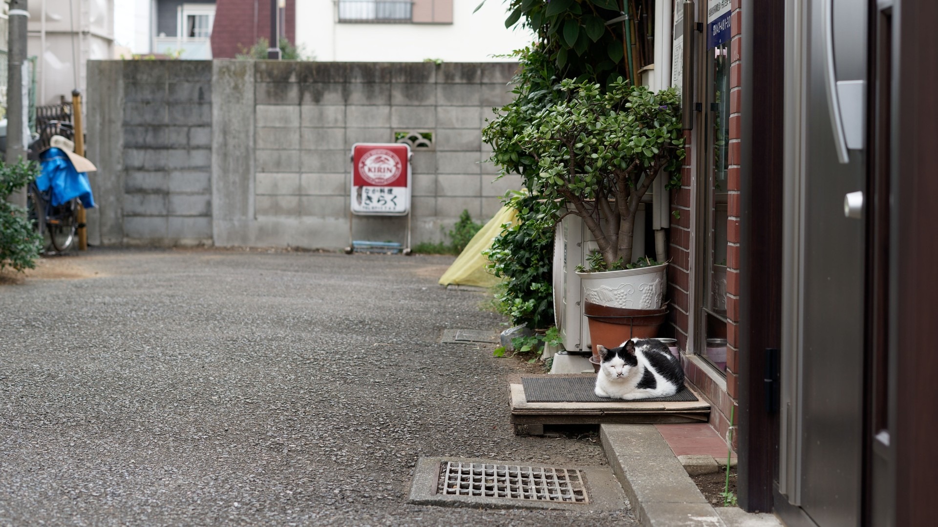 before